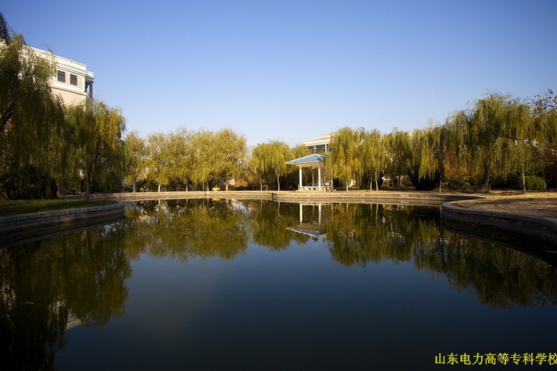 职业培训